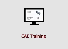 CAE Training